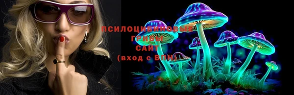 мяу мяу мука Краснослободск