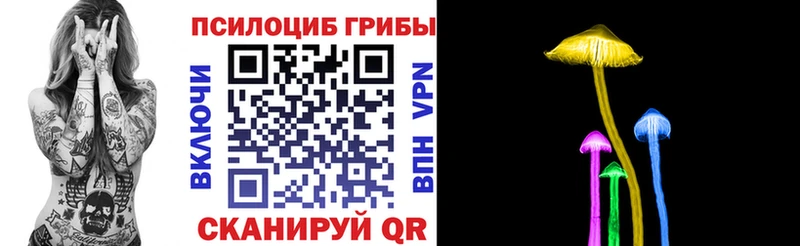 Купить закладки  Демидов  Псилоцибиновые грибы прущие грибы 